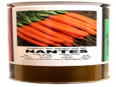 فروش بذر هویج نانتس