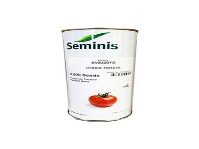 فروش بذر گوجه 8320سیمینس