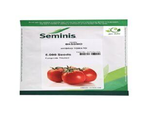 فروش بذر گوجه بریویو سیمنس